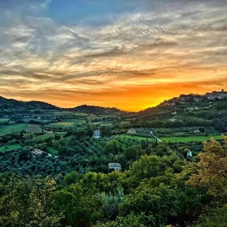 Stelle Di Monte